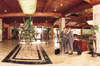 Dominican Fiesta Hotel 